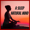 A Sleep Natural Mind-Logo