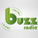 Buzz Radio 