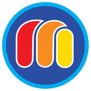 Mega Stereo 100.9-Logo