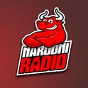 Narodni Radio-Logo
