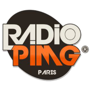 PIMG RADIO-Logo