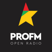 ProFM-Logo