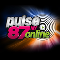 Pulse 87 NY-Logo