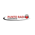 Punto Radio FM-Logo