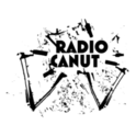 Radio Canut-Logo
