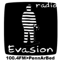 Radio Evasion-Logo