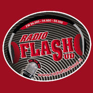 Radio Flash Sud-Logo