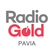 Radio Gold Pavia 