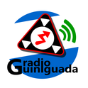 Radio Guiniguada-Logo