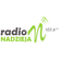 Radio Nadzieja-Logo