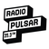 Radio Pulsar 