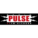 Radio Pulse 90 FM-Logo