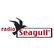 Radio Seagull 