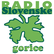 Radio Slovenske Gorice 