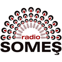 Radio Some?-Logo