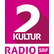 SRF 2 Kultur-Logo
