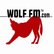 WOLF FM Nashville 