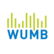 WUMB Radio Blues