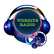 WebHitsRadio 