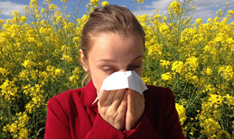 Wenn aus Heuschnupfen Asthma wird
