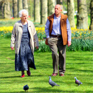 Das Gehen im Fokus des "Marillenmassaker's"