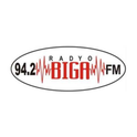 Biga FM-Logo