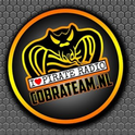 Cobra Team-Logo