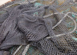Die Knechtung der Fischer in Thailand 