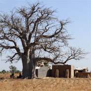 Werden die Rechte der Menschen im Süden für den Ausbau des Klimaschutzes untergraben?