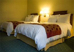 Bettwanzen und andere Schädlinge im Haushalt