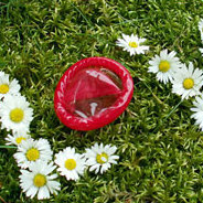 Das Leben des Markenkondoms Fabrikanten Israel Fromm