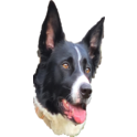 laut.fm-Logo