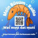 laut.fm-Logo