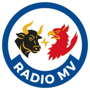 laut.fm-Logo