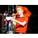 laut.fm hayley-williams-radio 