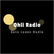 laut.fm ohliradio 