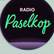laut.fm radio-paselkop