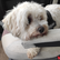 laut.fm riede-today 