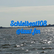 laut.fm schleibeat108 