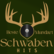 laut.fm schwabenhits 