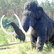 Das Mammut in der Grube von Jens Raschke