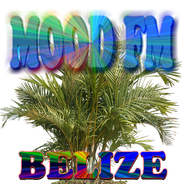 MOOD FM 106.3-Logo