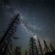 Lesenacht mit viel Magie