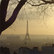 French Darlings – Verträumt in Paris 