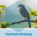 Positivity Radio Positively Birdsong 