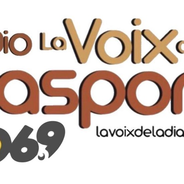 Diaspora Fm - La Voix de la Diaspora Radio-Logo