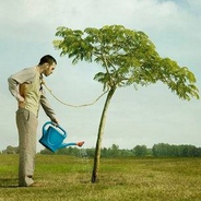 Dan MARRON Radio Blues-Logo