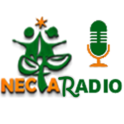 NECTARADIO-Logo