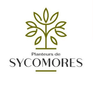 Planteurs de Sycomores-Logo