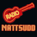 Radio Nattsudd